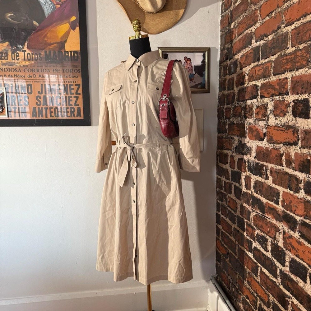 alex marie button up dress ~